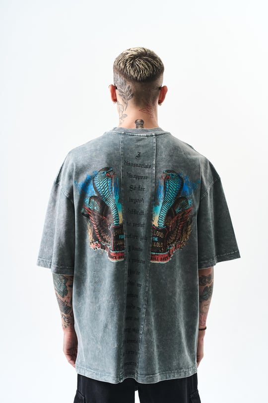 POISON STONEWASHED T-SHIRT (2 COLOR)