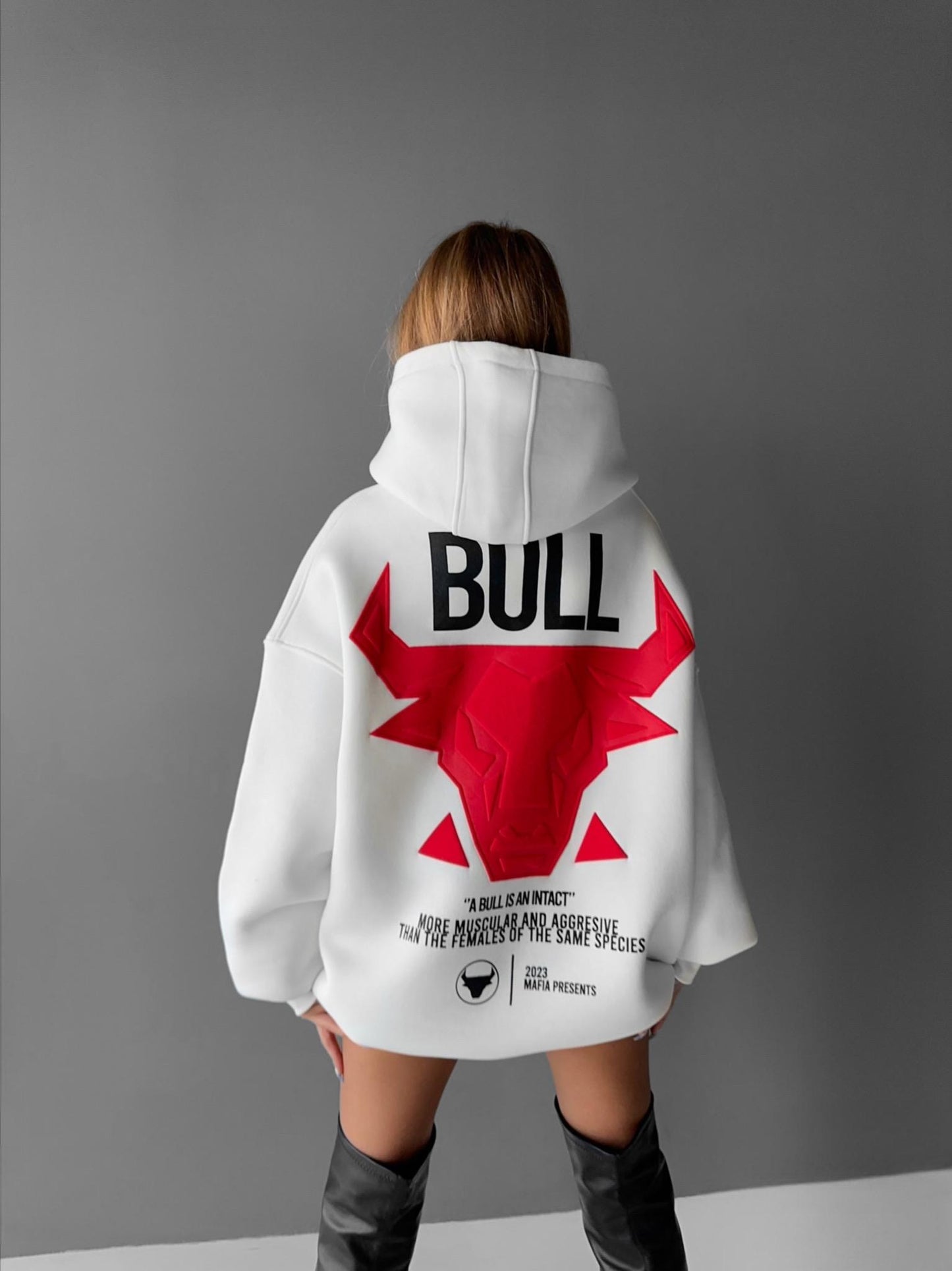 BULL PREMIUM HOODIE (2 COLOR)