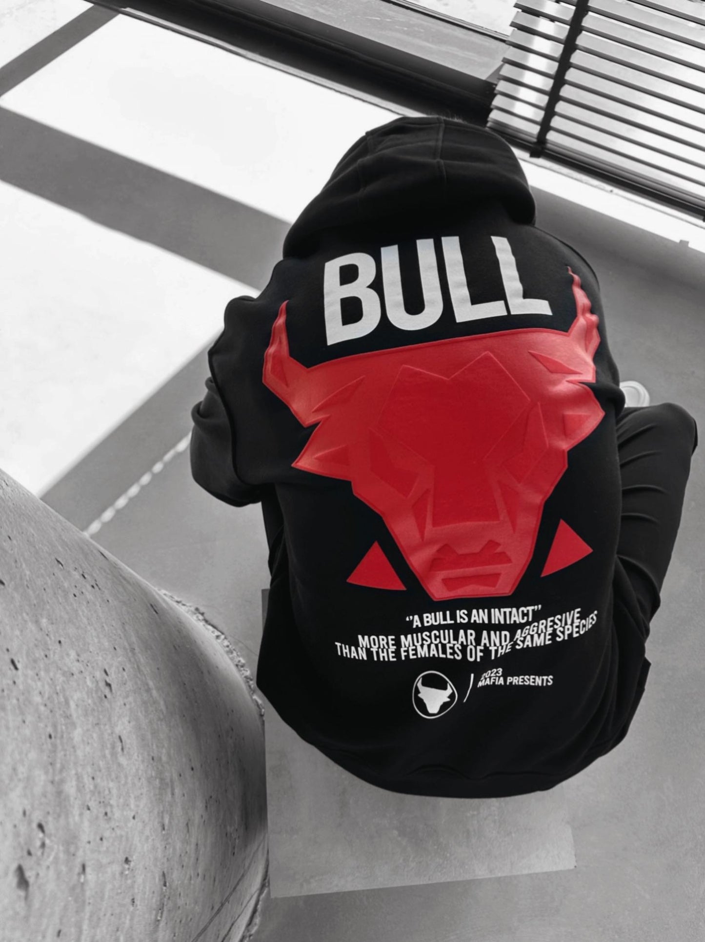 BULL PREMIUM HOODIE (2 COLOR)