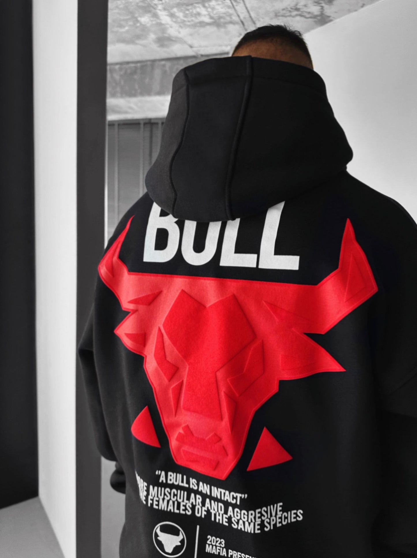 BULL PREMIUM HOODIE (2 COLOR)